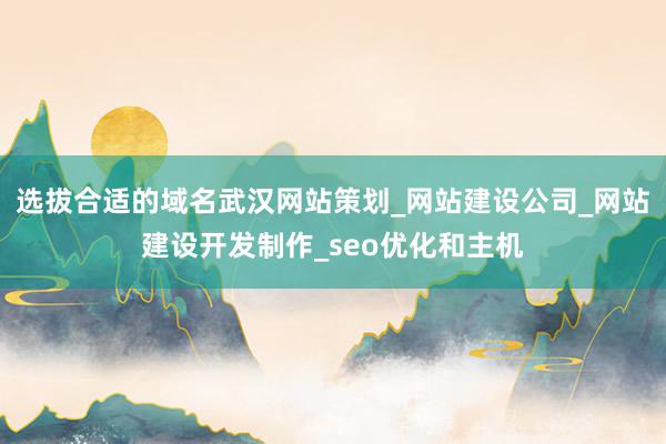 选拔合适的域名武汉网站策划_网站建设公司_网站建设开发制作_seo优化和主机